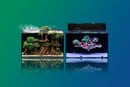 Fresh & Marine Dual All-In-One UNS Rimless Ultra Clear Glass Aquarium Tanks