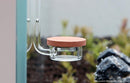 Aquario Neo Co2 Diffuser Special Extended - Rad Aquatic Design