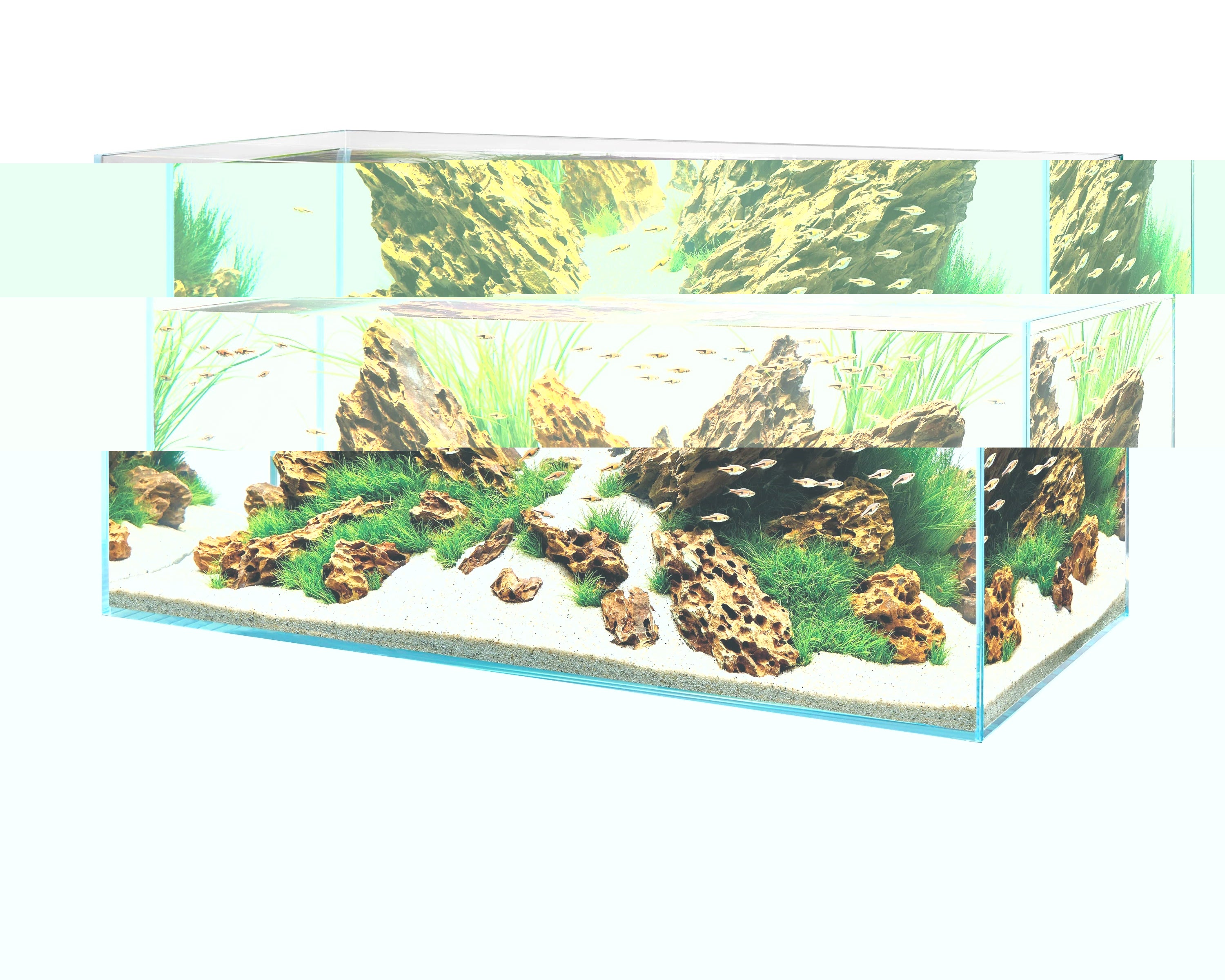 OASE ScaperLine Aquarium Tank