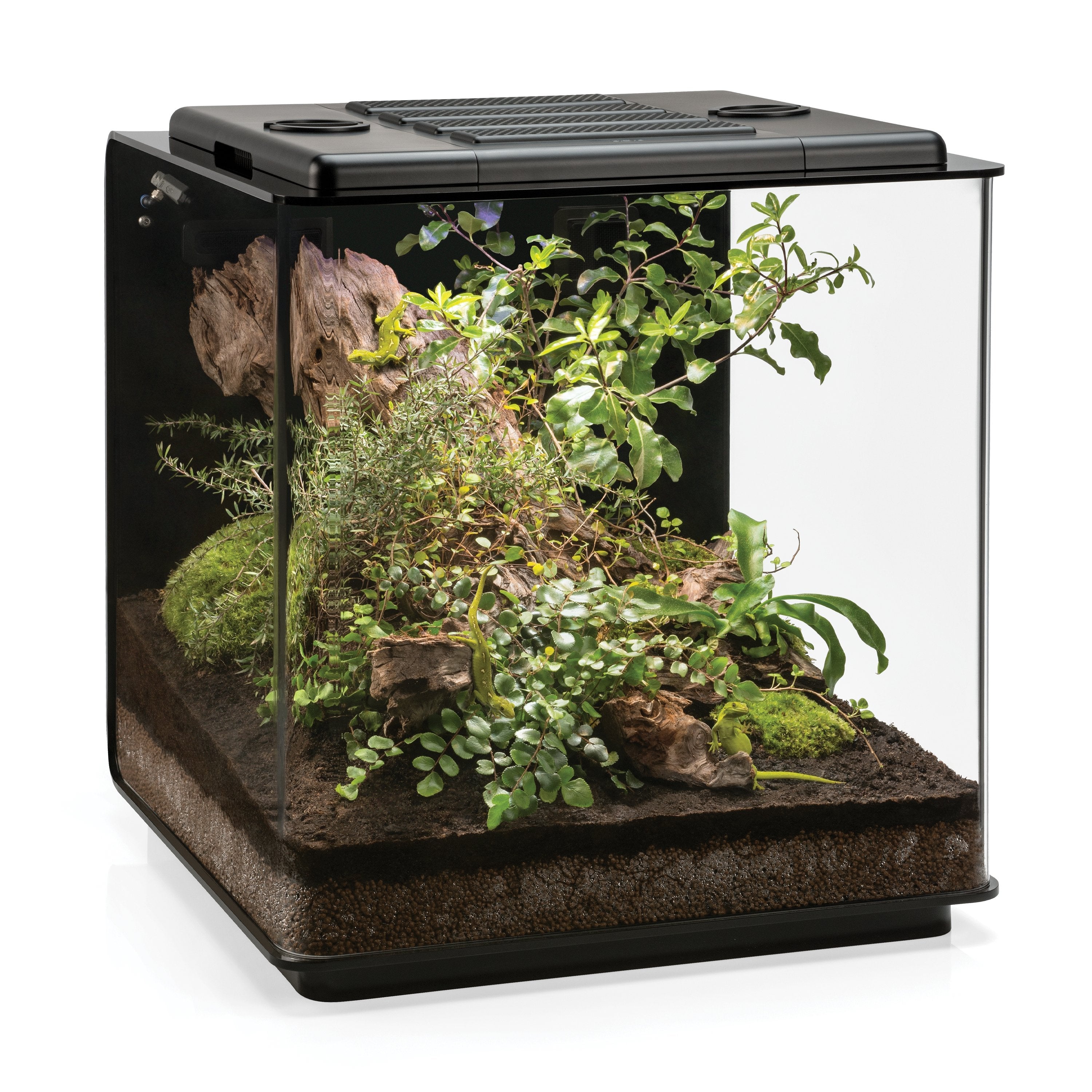 biOrb AIR 60 LED Terrarium White - Sevenports Nano Aquariums