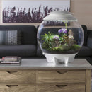Oase biOrb AIR 60 LED Terrarium - Rad Aquatic Design