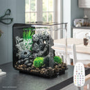 FLOW 15 Aquarium with MCR Light - 4 gallon