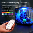 FLOW 15 Aquarium with MCR Light - 4 gallon