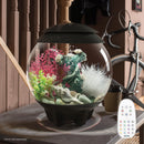 HALO 15 Aquarium with MCR Light - 4 gallon