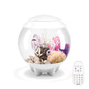 HALO 15 Aquarium with MCR Light - 4 gallon