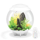 HALO 30 Aquarium with MCR Light - 8 gallon