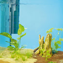 OASE BioPlus Thermo 200 - Rad Aquatic Design