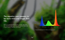 ONF Flat Nano+ - Rad Aquatic Design