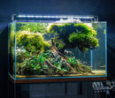 Twinstar LED - B Line Aquarium Light Fixture