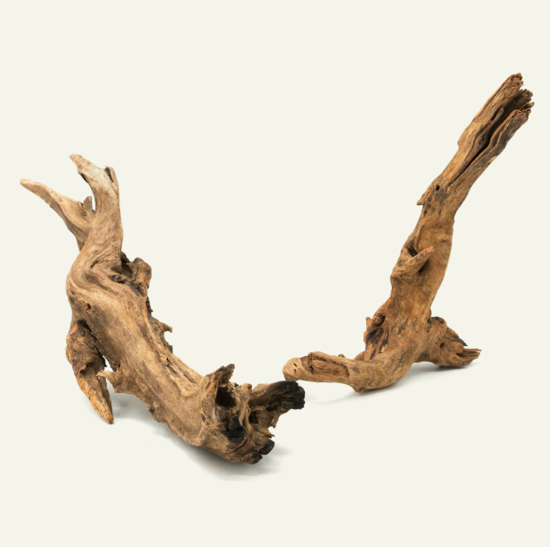 Pacific Driftwood