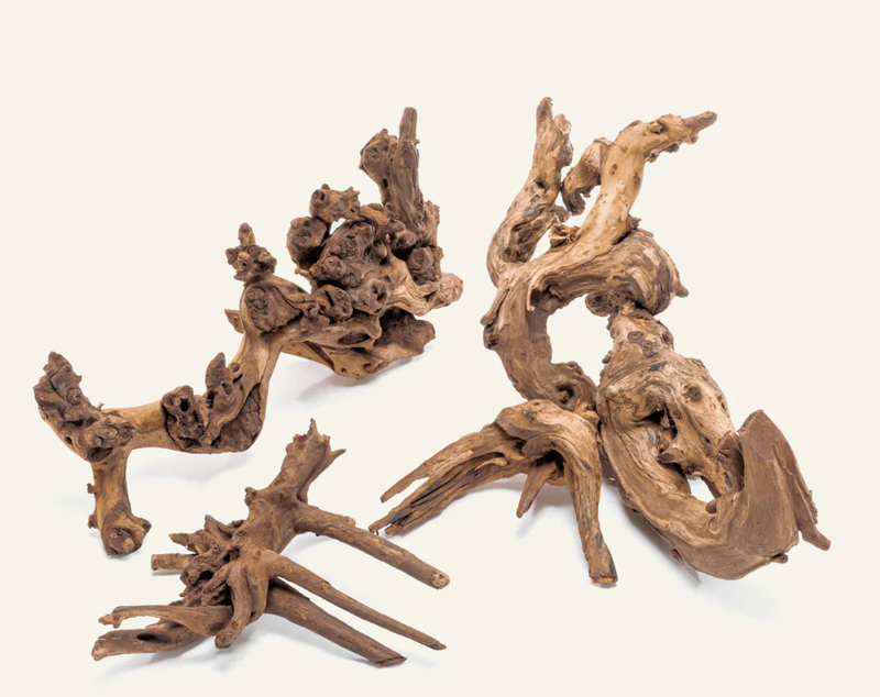 Amazon Wood