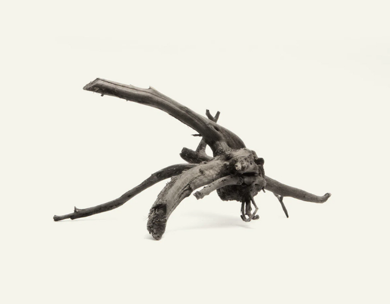 Black Forest Spider Wood