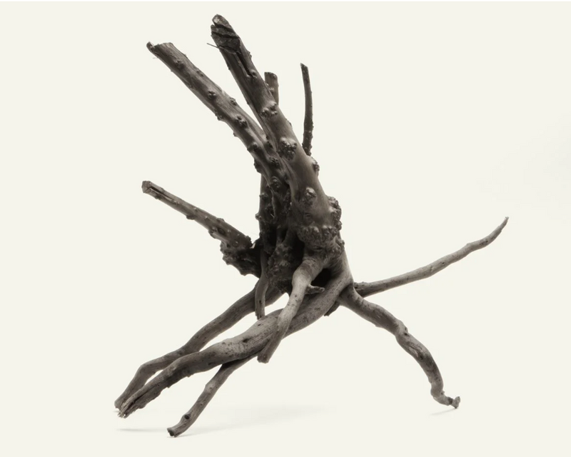 Black Forest Spider Wood