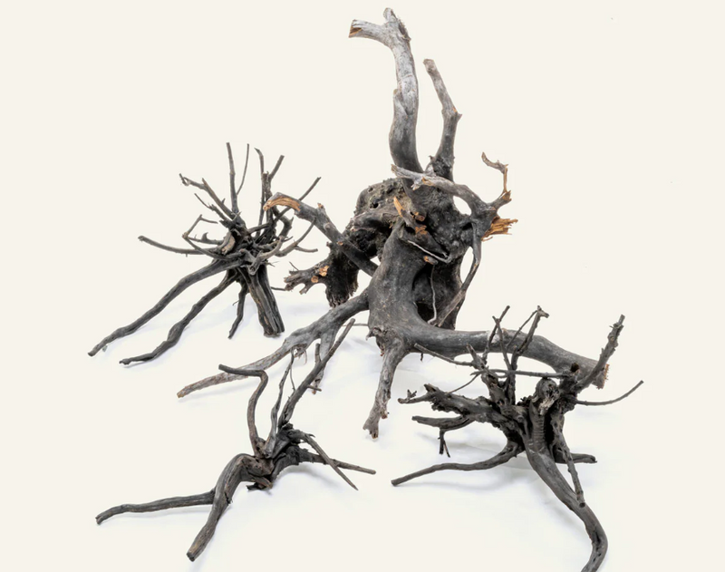 Black Forest Spider Wood