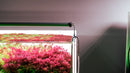 Chihiros B Series LED Aquarium Light