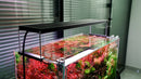 Chihiros WRGB II Pro LED Aquarium Light