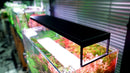 Chihiros WRGB II Slim LED Aquarium Light