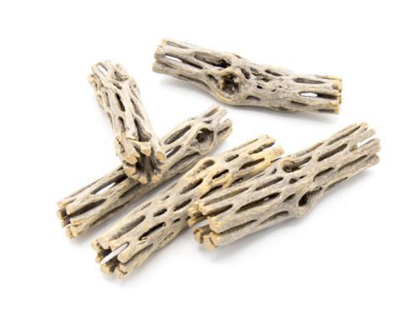 Cholla Wood