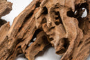 Dragon Wood