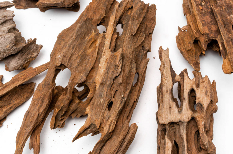 Dragon Wood