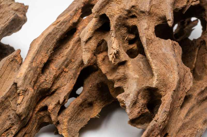 Dragon Wood