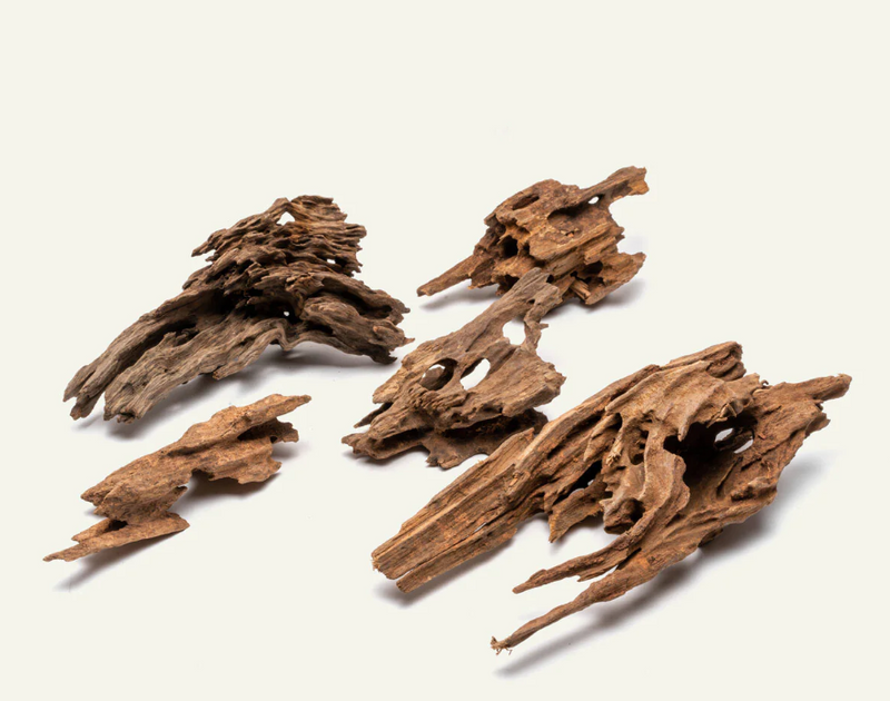 Dragon Wood