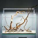 Spider Wood