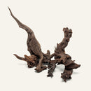 Malaysian Driftwood