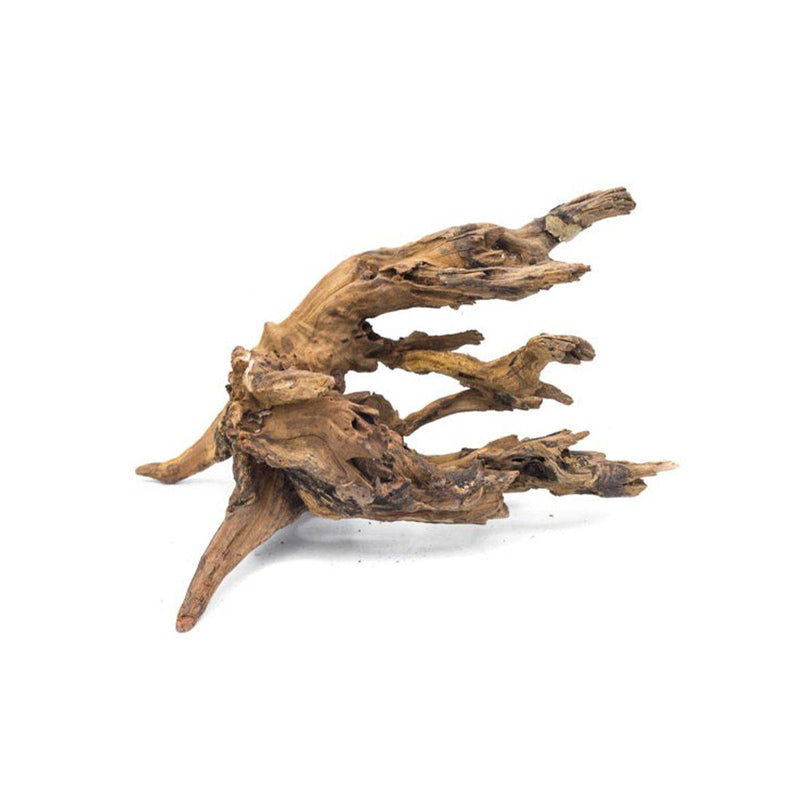 Pacific Driftwood
