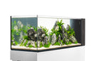 Fresh & Marine Dual All-In-One UNS Rimless Ultra Clear Glass Aquarium Tanks