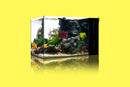 Fresh & Marine Dual All-In-One UNS Rimless Ultra Clear Glass Aquarium Tanks