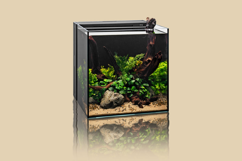 Fresh & Marine Dual All-In-One UNS Rimless Ultra Clear Glass Aquarium Tanks