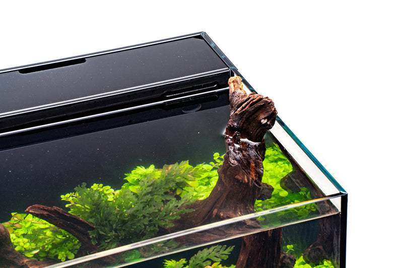 Fresh & Marine Dual All-In-One UNS Rimless Ultra Clear Glass Aquarium Tanks