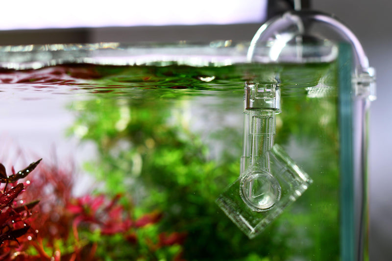 neo flow lily pipe Aquario Neo Flow Premium Kit (Version 2)