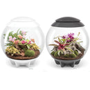 Oase biOrb AIR 60 LED Terrarium - Rad Aquatic Design