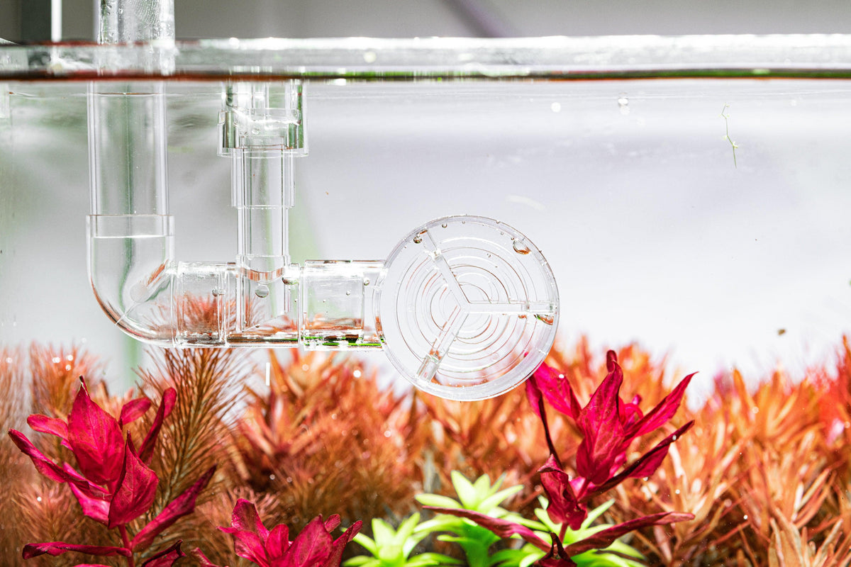 Aquario Neo Flow Kit