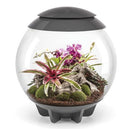 Oase biOrb AIR 60 LED Terrarium - Rad Aquatic Design