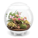 Oase biOrb AIR 60 LED Terrarium - Rad Aquatic Design