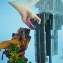 OASE BioPlus Thermo 200 - Rad Aquatic Design