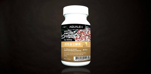Aqualex Premium Enzyme Powder (Magic Powder) - Rad Aquatic Design