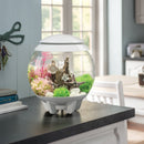 HALO 15 Aquarium with MCR Light - 4 gallon