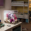 FLOW 15 Aquarium with MCR Light - 4 gallon