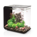 FLOW 30 Aquarium with MCR Light - 8 gallon