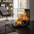 FLOW 30 Aquarium with MCR Light - 8 gallon