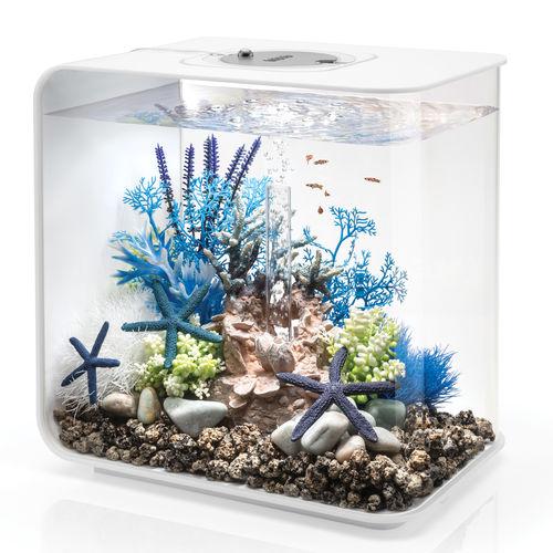 FLOW 30 Aquarium with MCR Light - 8 gallon