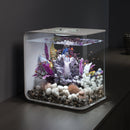 FLOW 30 Aquarium with MCR Light - 8 gallon