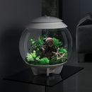 HALO 30 Aquarium with MCR Light - 8 gallon