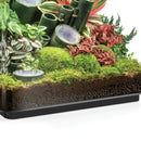 BiOrb Earth Jungle Mix