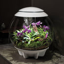 Oase biOrb AIR 60 LED Terrarium - Rad Aquatic Design