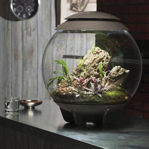 バイオーブ　Oase エアー 60 Oase - biOrb Air 60 - grey | Aquasabi - Aquascaping Shop